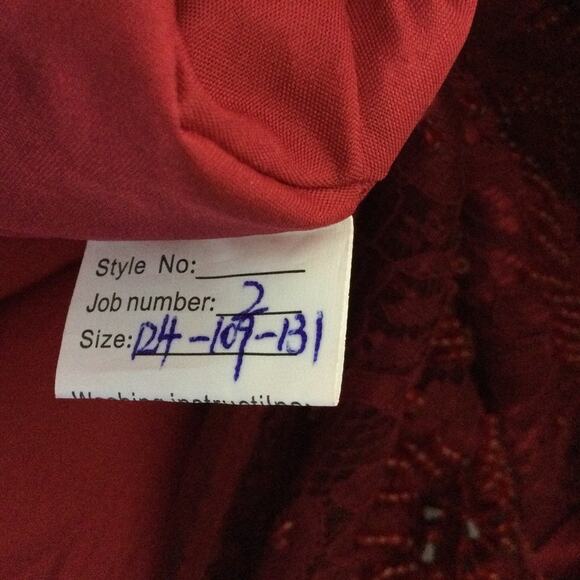 FORMAL SZ 22 3x plus red lace beaded embroidered hi low lace up dress NEW B149 - Picture 3 of 8